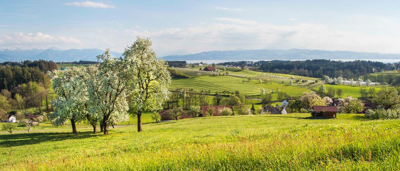 Aussichtspunkt vom eigenen Grundstück