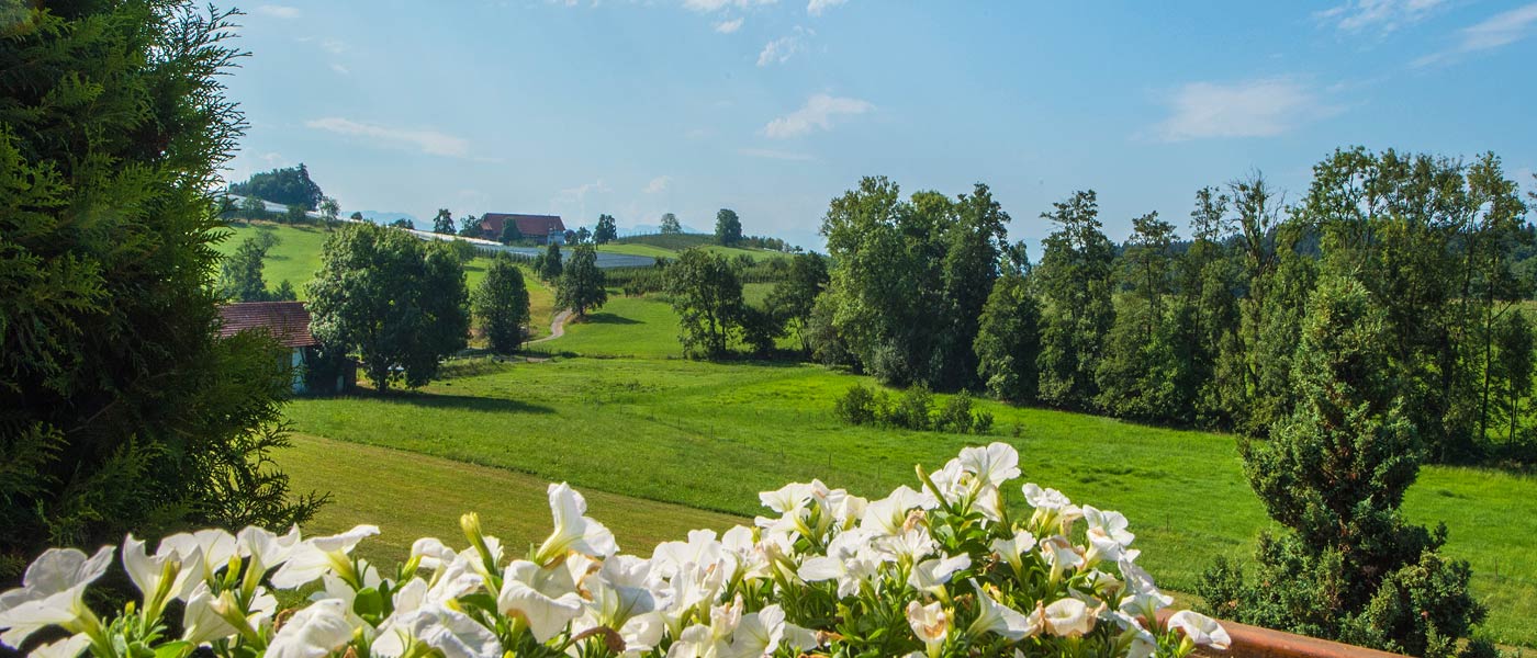 Blick vom Balkon